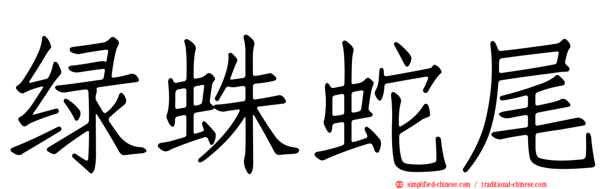 绿蛛蛇尾