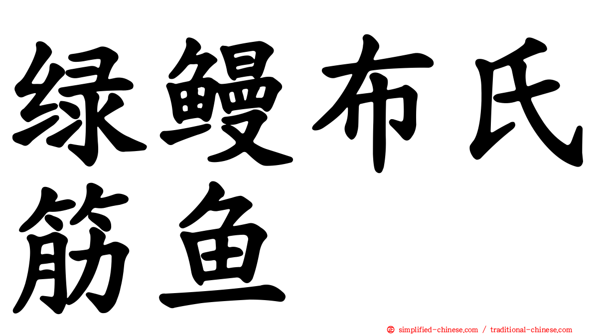 绿鳗布氏筋鱼