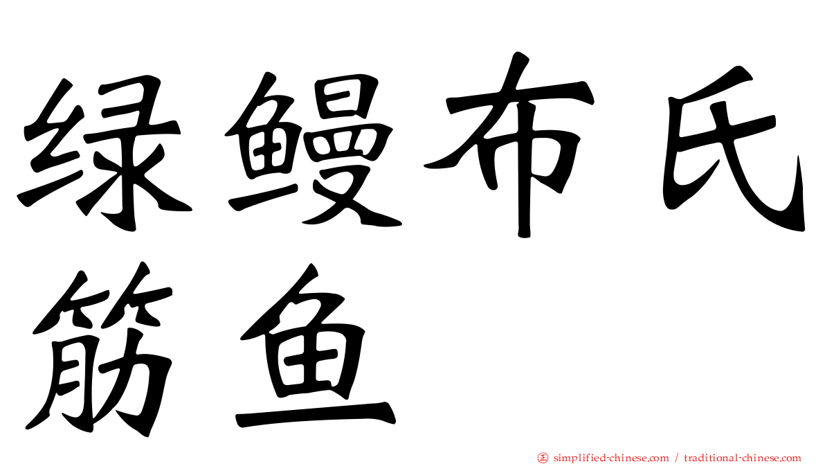 绿鳗布氏筋鱼