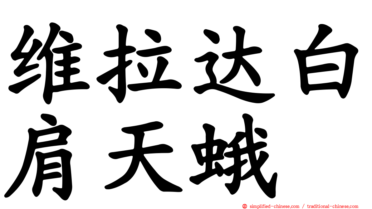 维拉达白肩天蛾