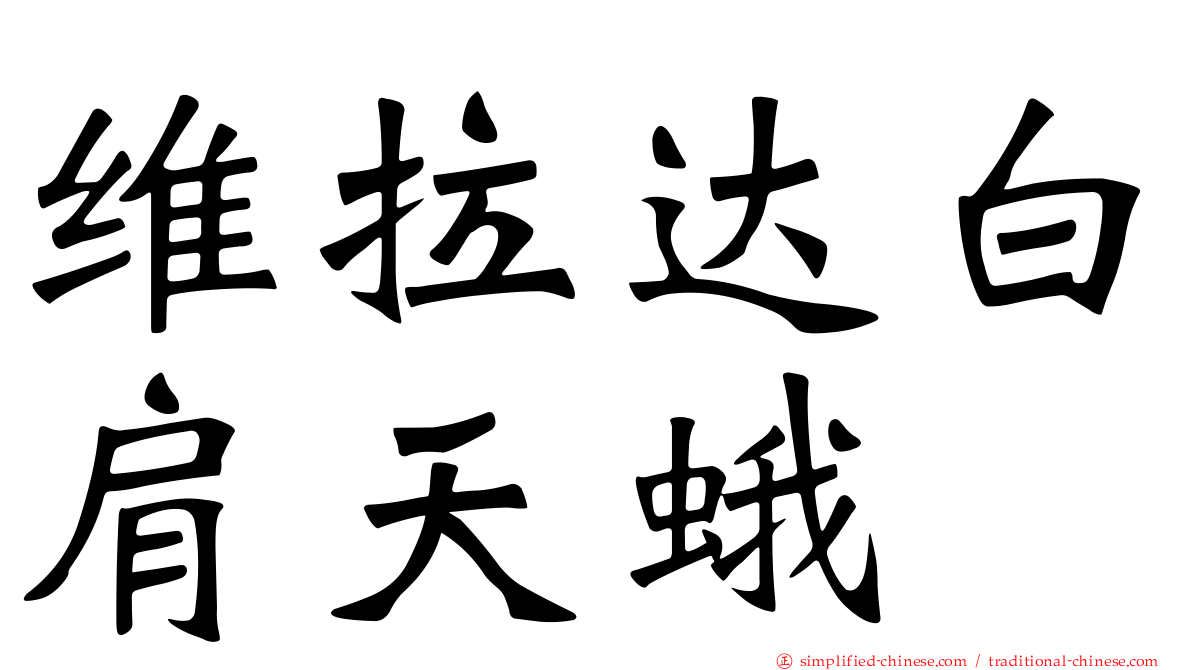 维拉达白肩天蛾
