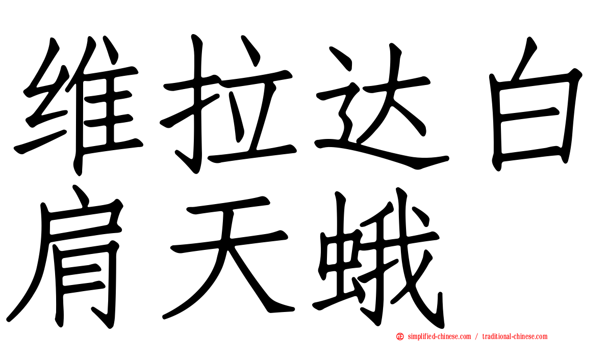 维拉达白肩天蛾