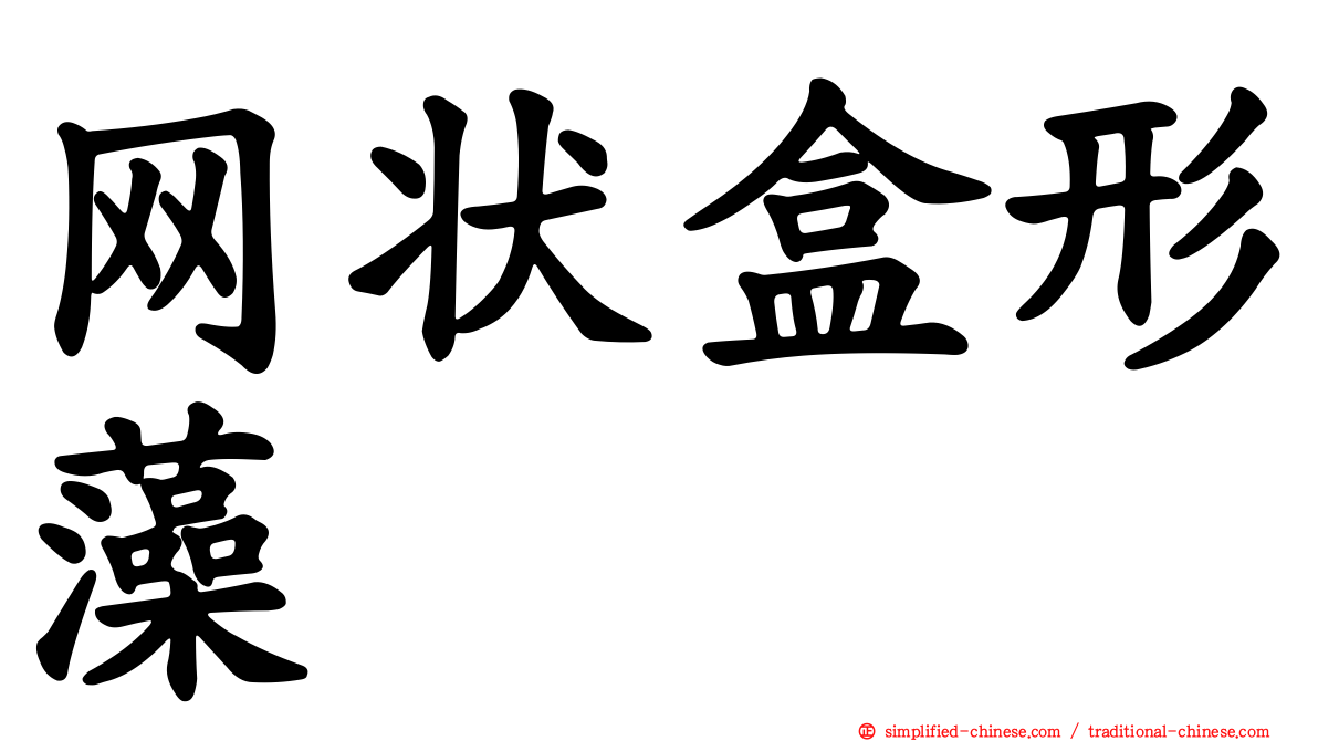 网状盒形藻