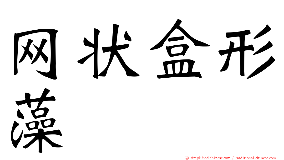 网状盒形藻