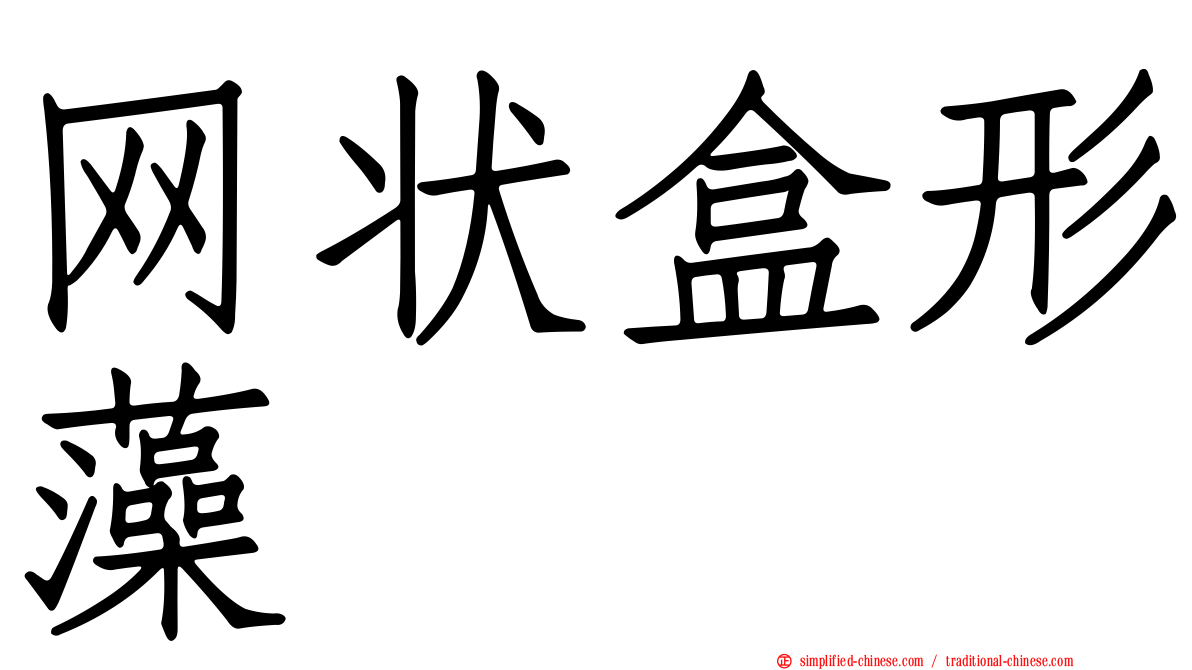 网状盒形藻