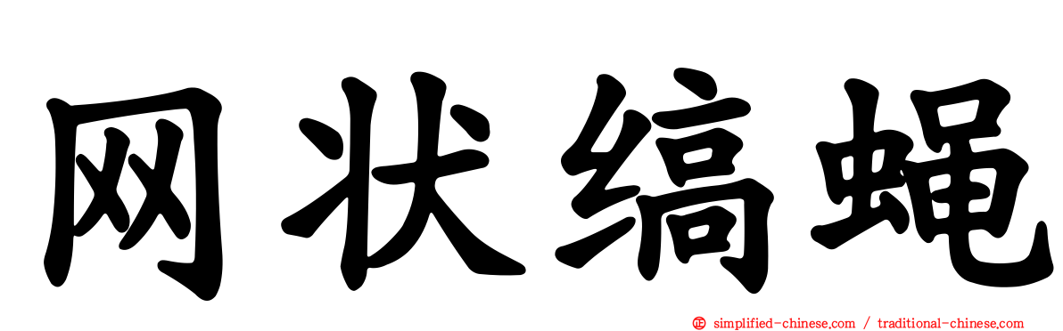 网状缟蝇