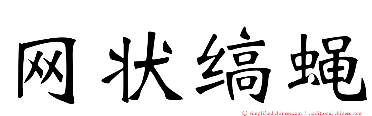 网状缟蝇