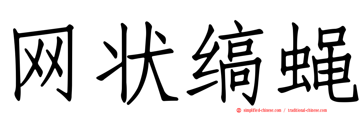 网状缟蝇