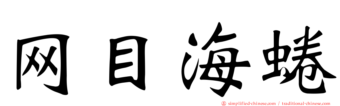 网目海蜷