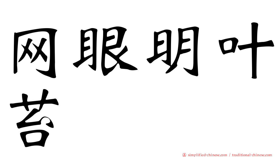 网眼明叶苔