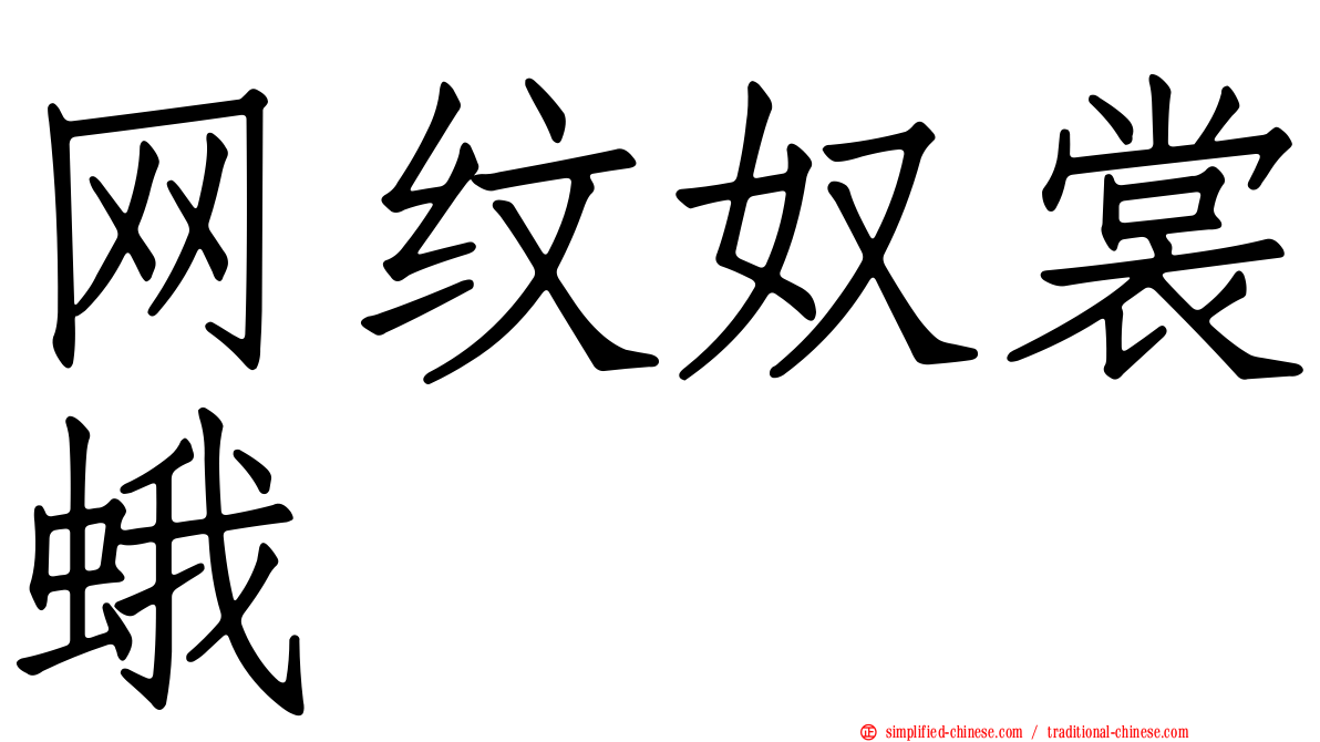 网纹奴裳蛾