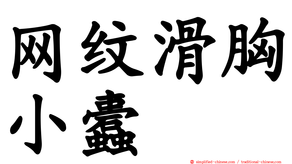 网纹滑胸小蠹