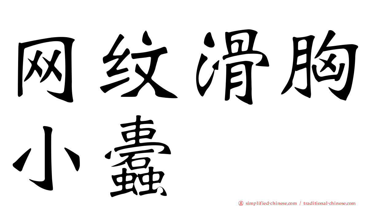 网纹滑胸小蠹