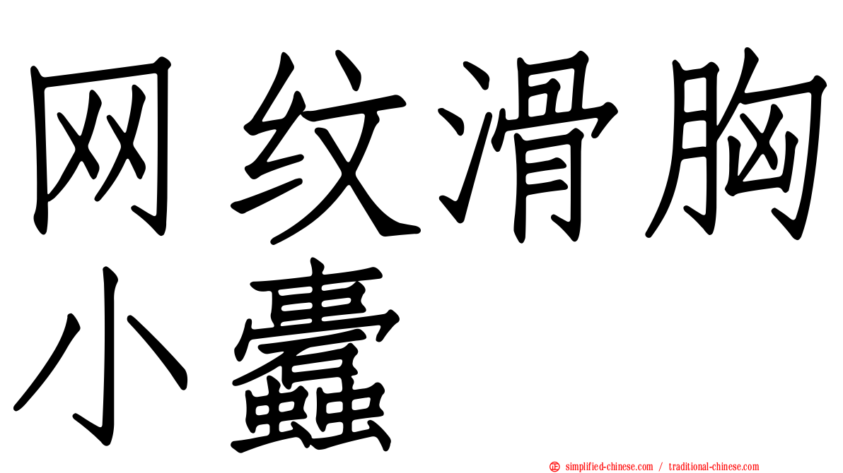 网纹滑胸小蠹