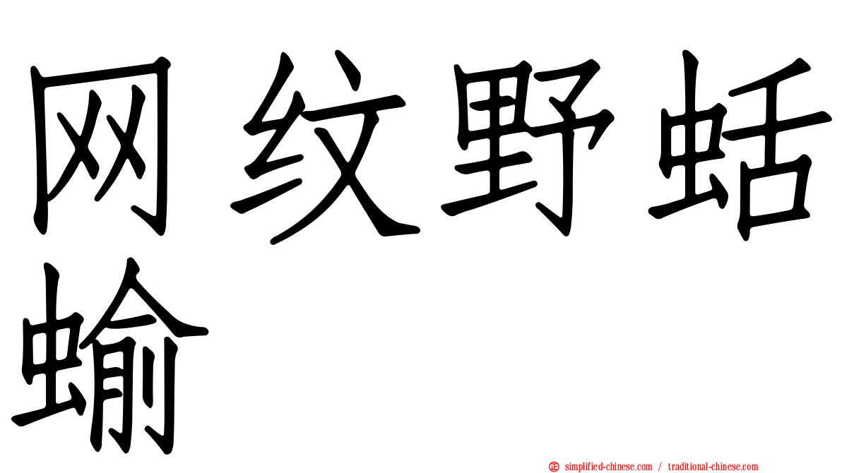 网纹野蛞蝓