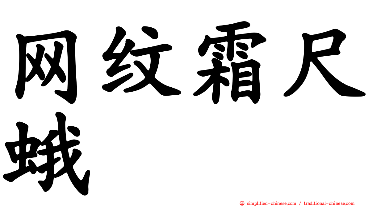 网纹霜尺蛾