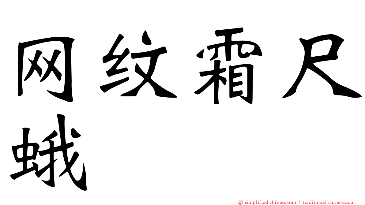 网纹霜尺蛾