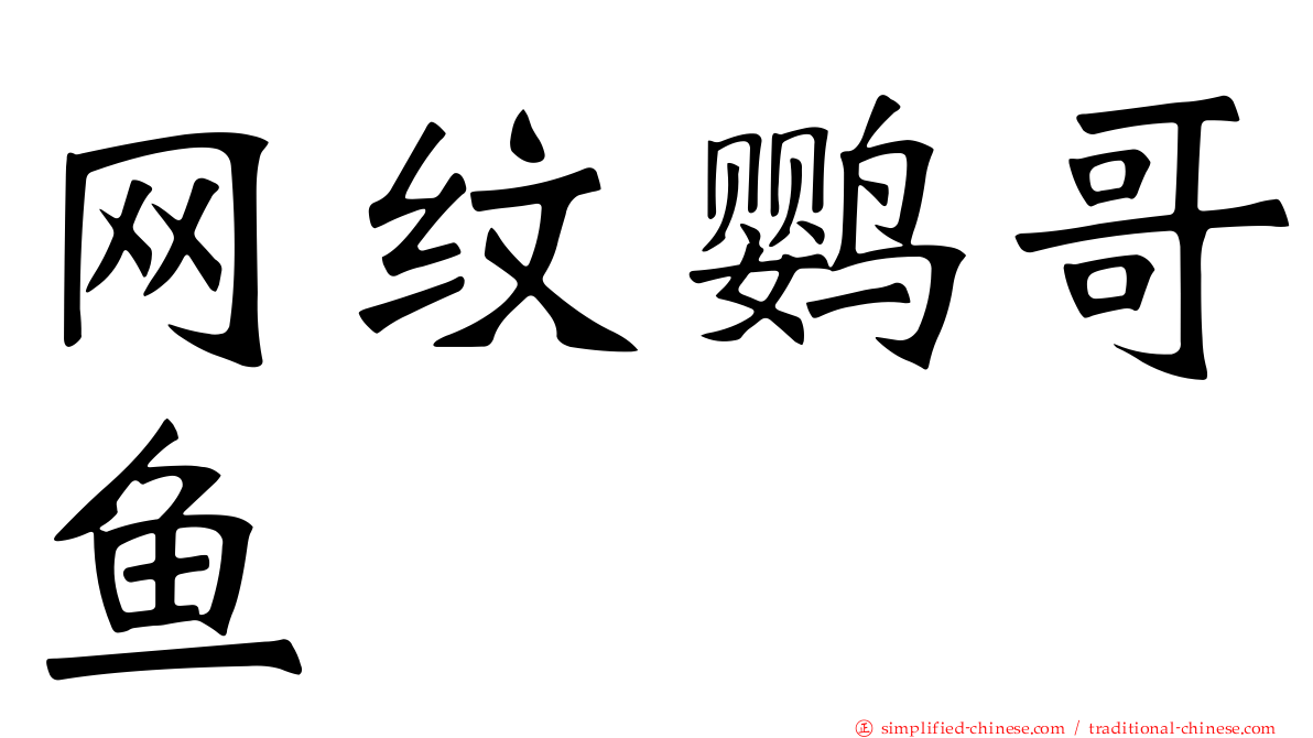 网纹鹦哥鱼