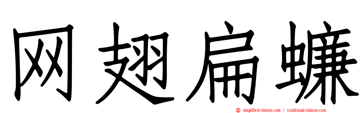 网翅扁蠊