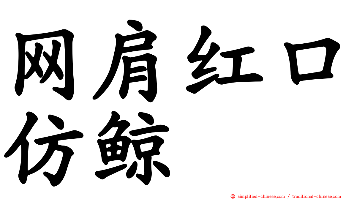 网肩红口仿鲸