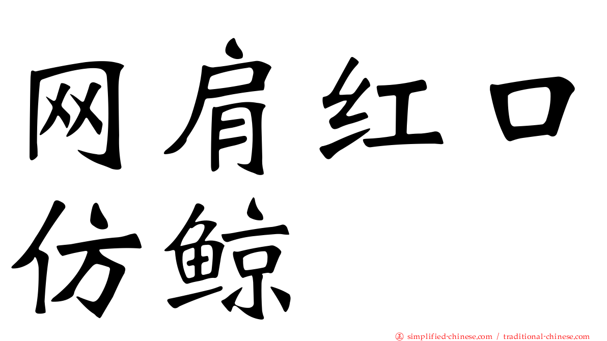 网肩红口仿鲸