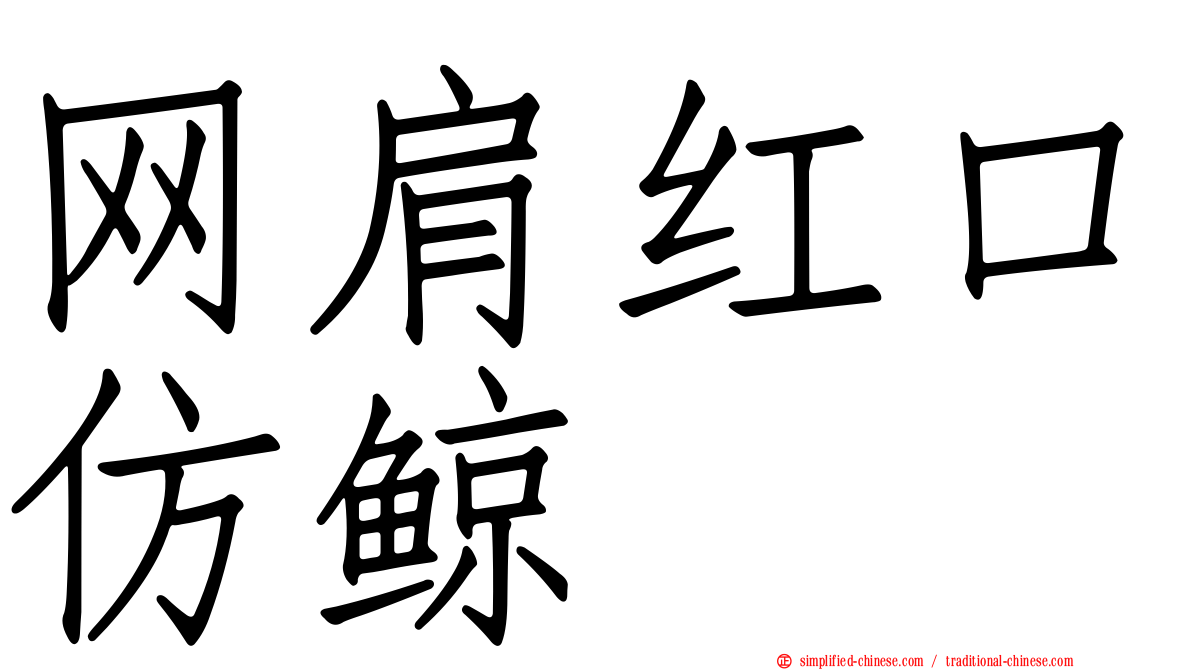 网肩红口仿鲸