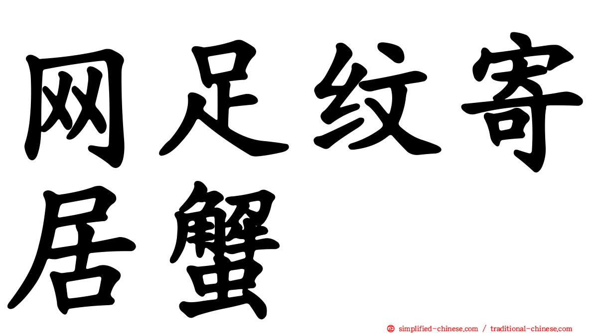 网足纹寄居蟹