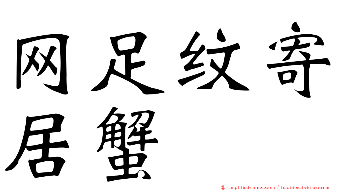 网足纹寄居蟹