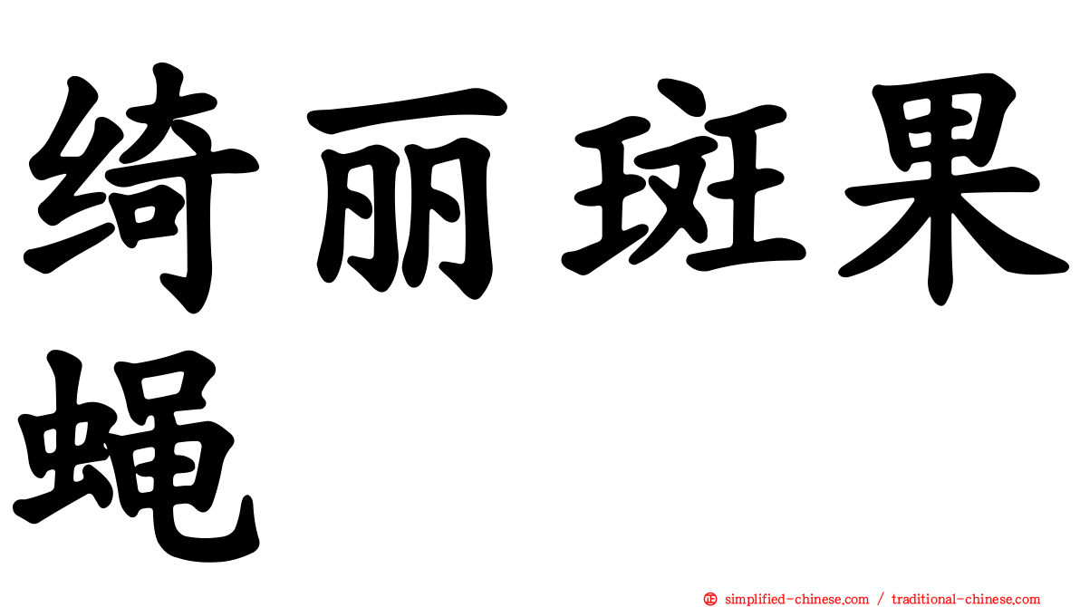 绮丽斑果蝇