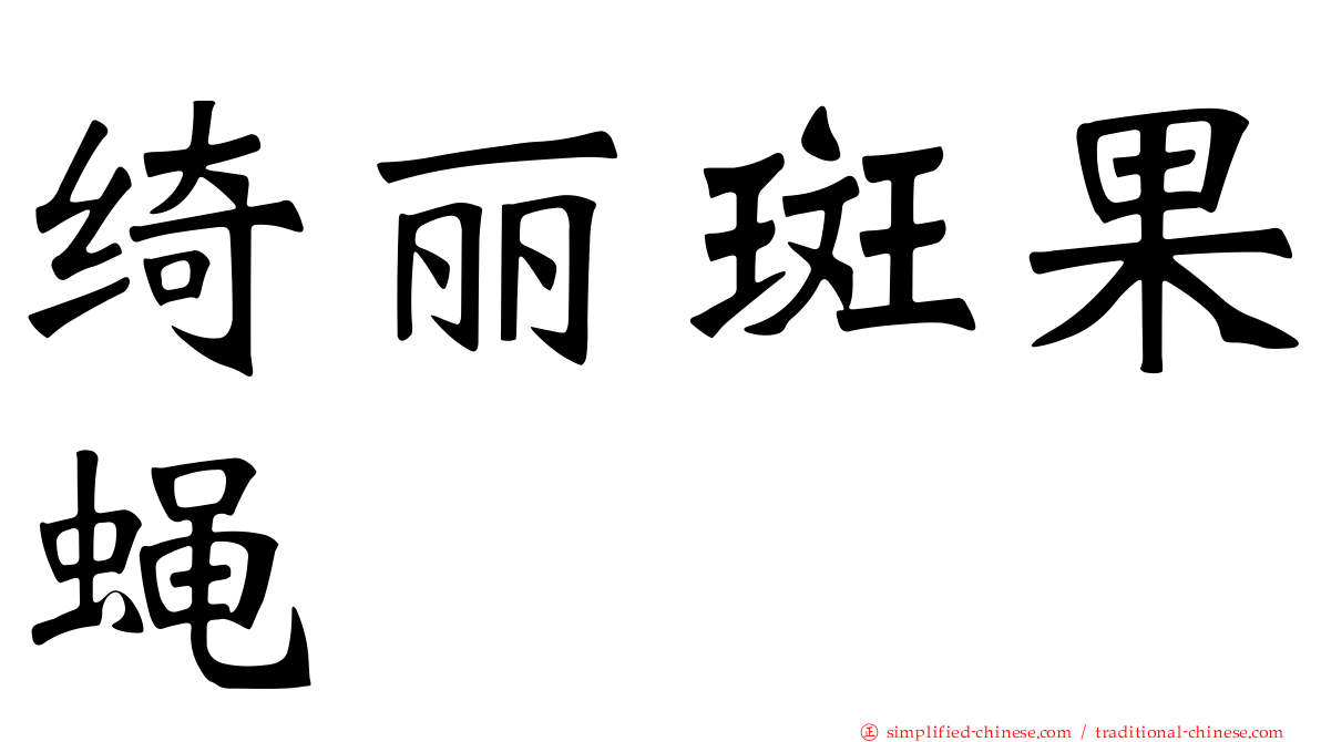 绮丽斑果蝇