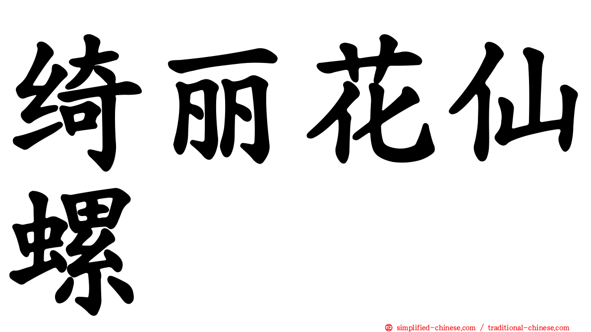 绮丽花仙螺