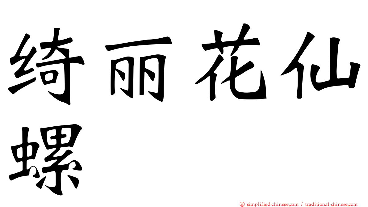 绮丽花仙螺