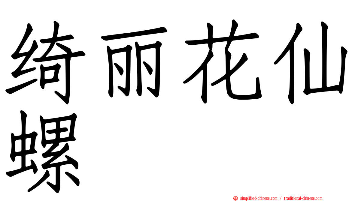 绮丽花仙螺