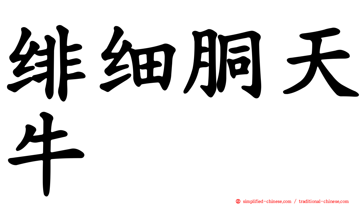 绯细胴天牛