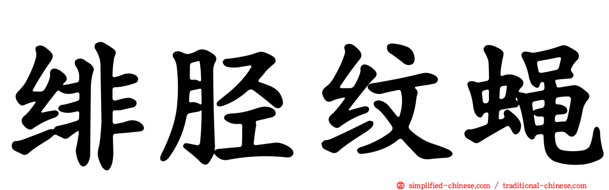 绯胫纹蝇
