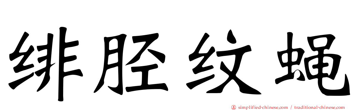 绯胫纹蝇
