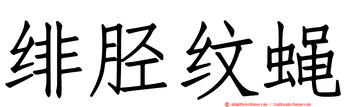 绯胫纹蝇