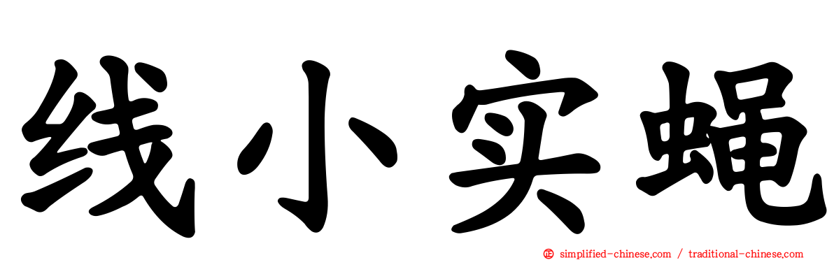 线小实蝇