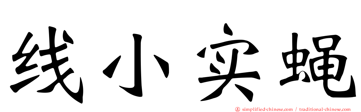 线小实蝇