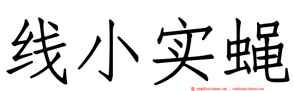 线小实蝇