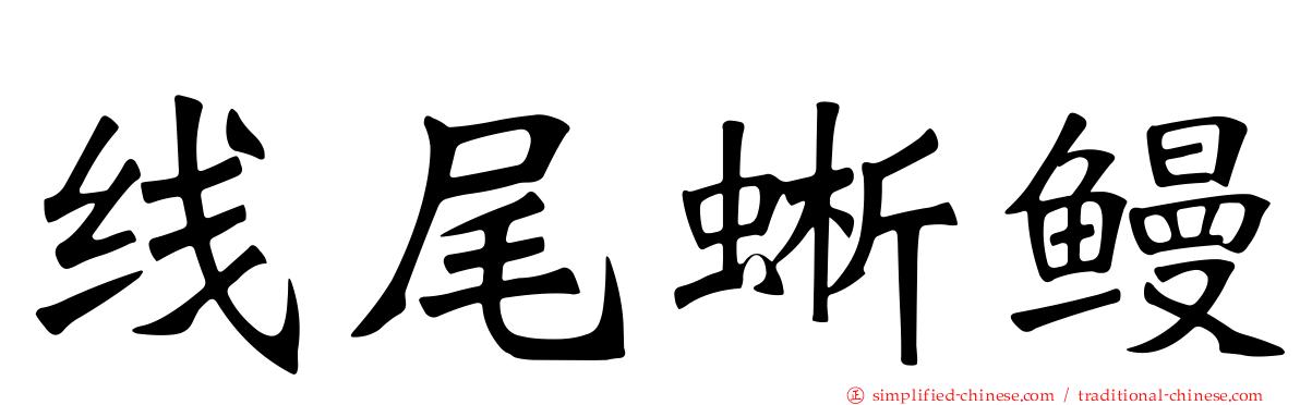 线尾蜥鳗