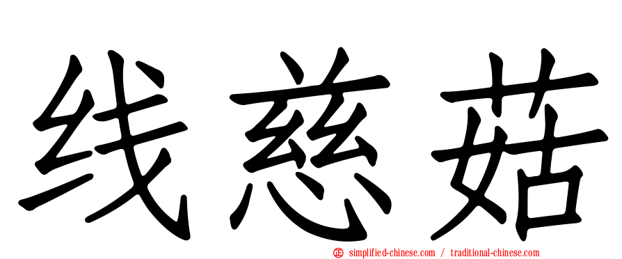 线慈菇