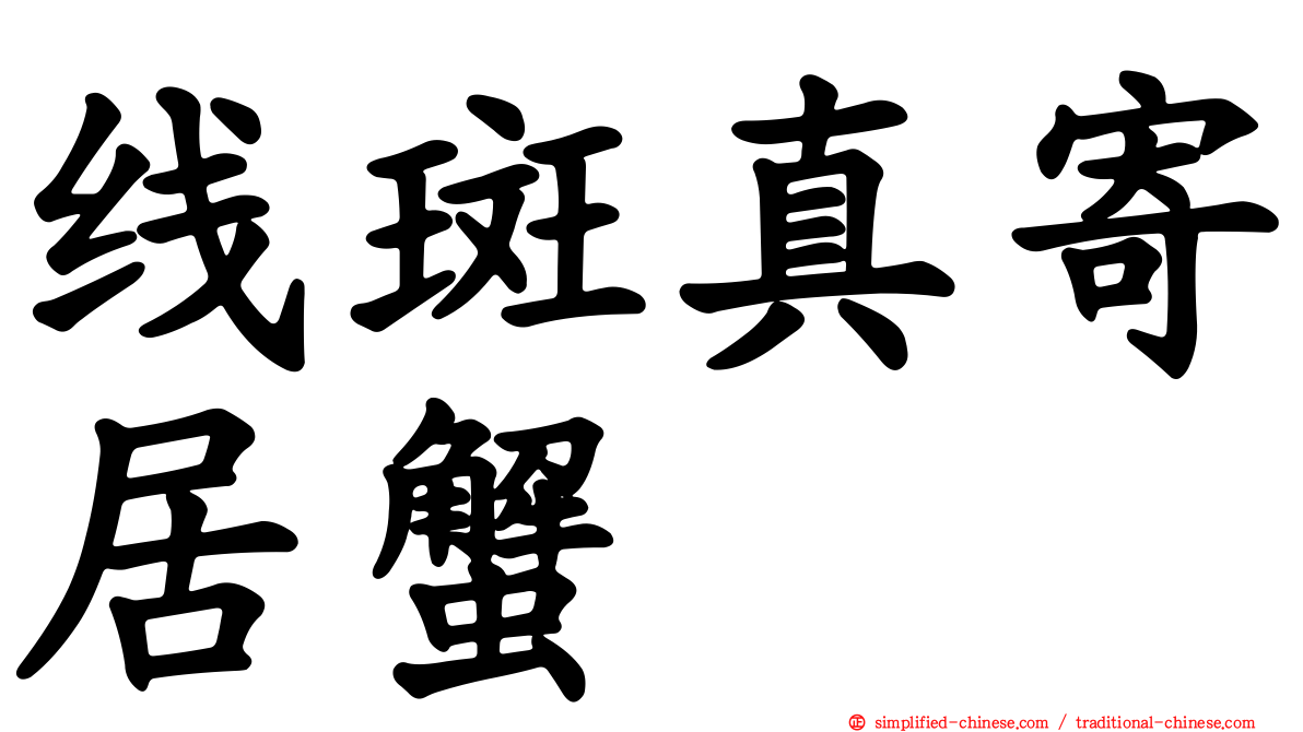 线斑真寄居蟹