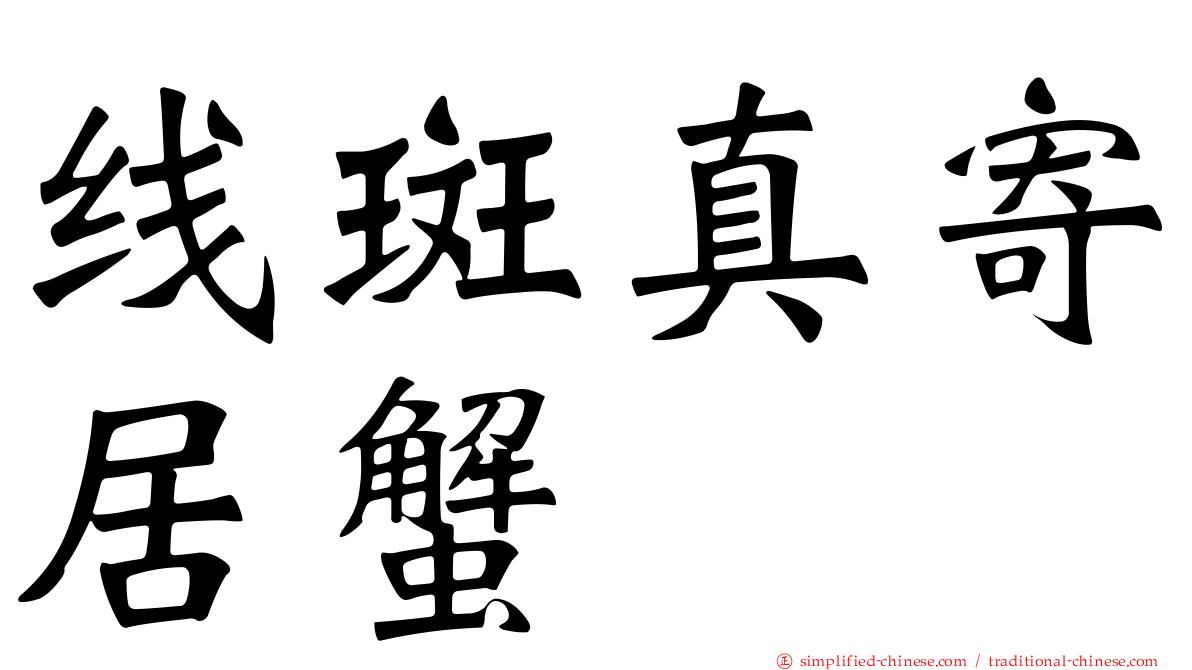 线斑真寄居蟹