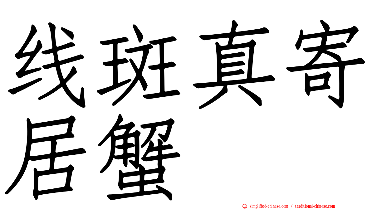 线斑真寄居蟹