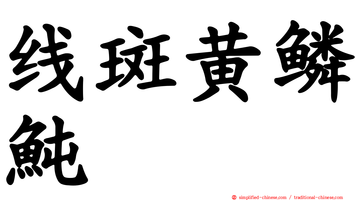 线斑黄鳞鲀