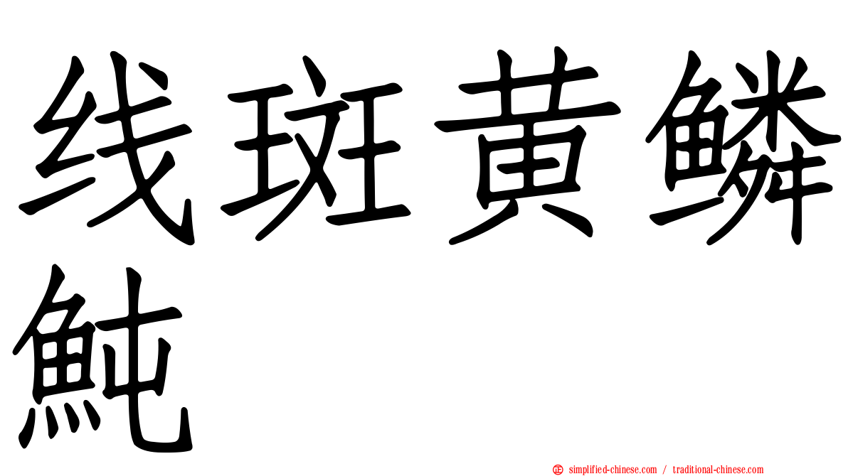 线斑黄鳞鲀