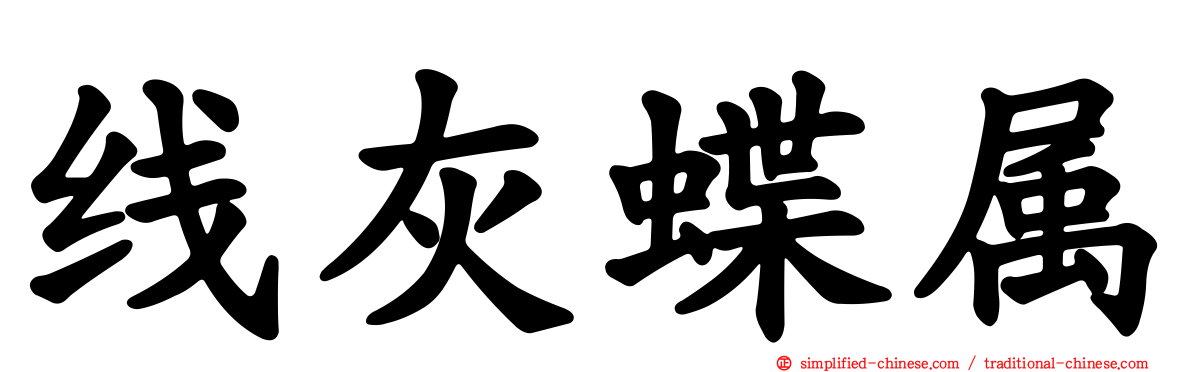 线灰蝶属