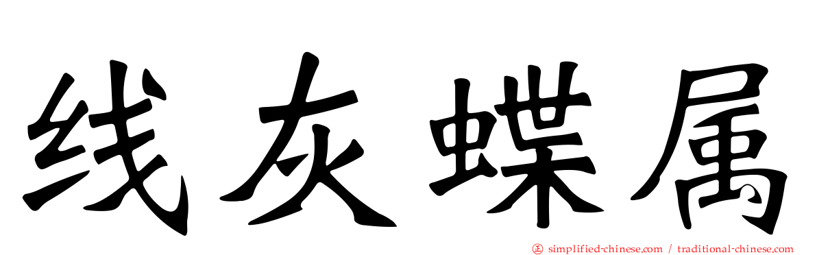 线灰蝶属