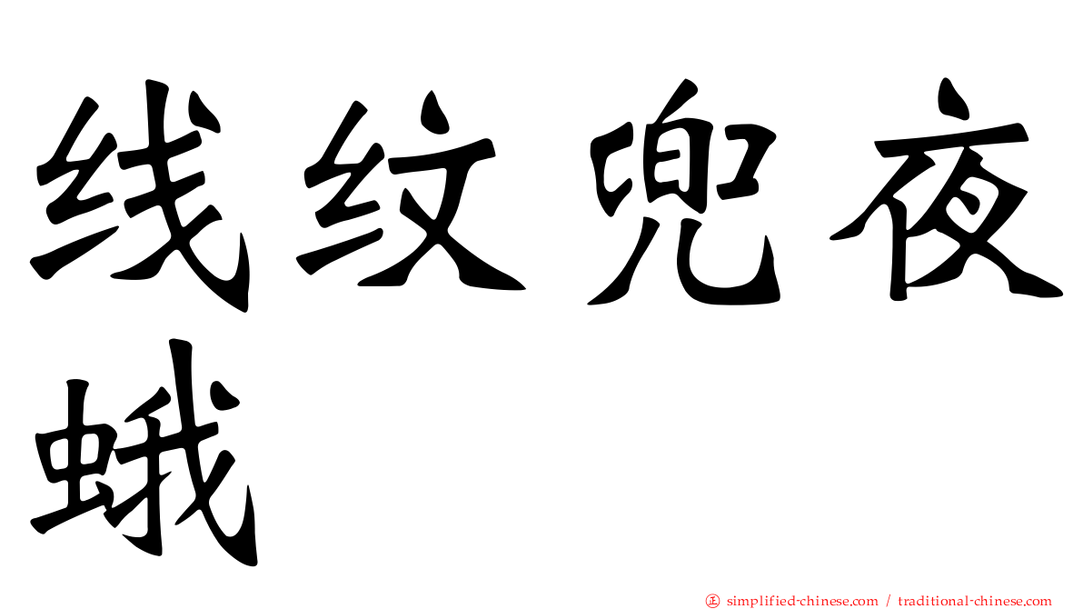 线纹兜夜蛾
